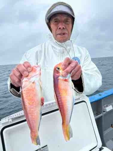 アマダイ(アカアマダイ)