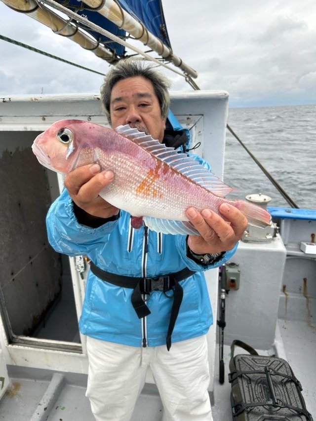 アマダイ(アカアマダイ)