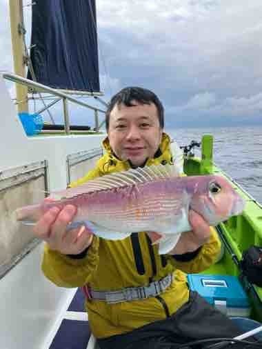 アマダイ(アカアマダイ)