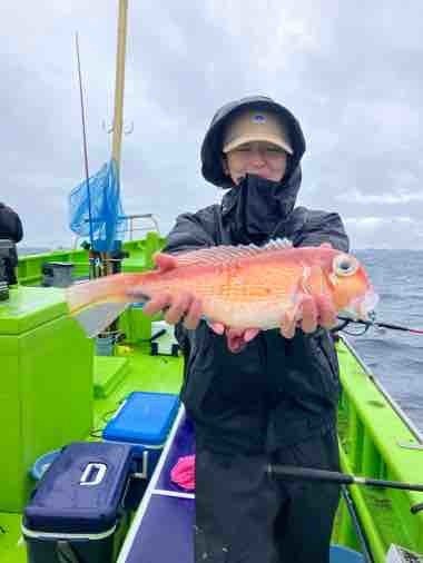 アマダイ(アカアマダイ)