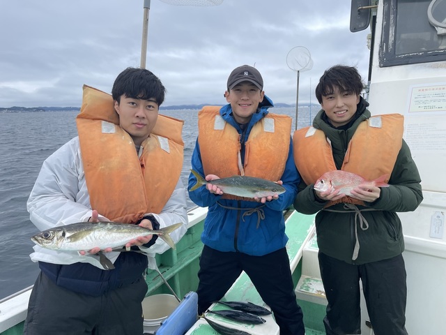 ハナダイ(チダイ)