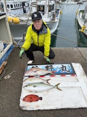 マダイ・メジロ(ブリ)・カンパチ