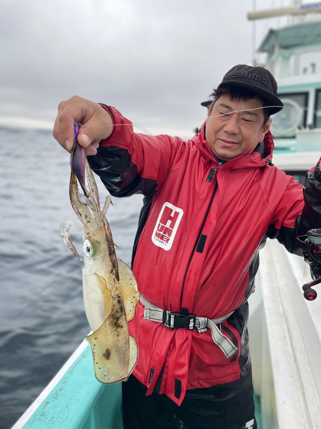 アオリ(アオリイカ)