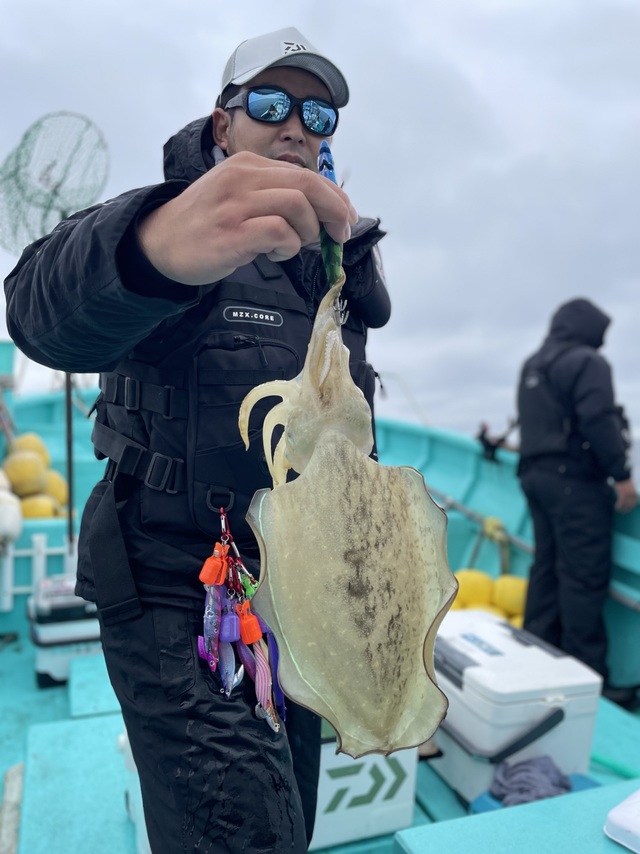 アオリ(アオリイカ)