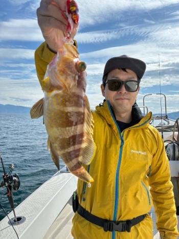 アコウ(キジハタ)