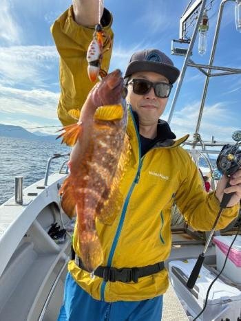 アコウ(キジハタ)