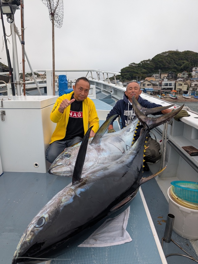 キハダマグロ(キハダ)