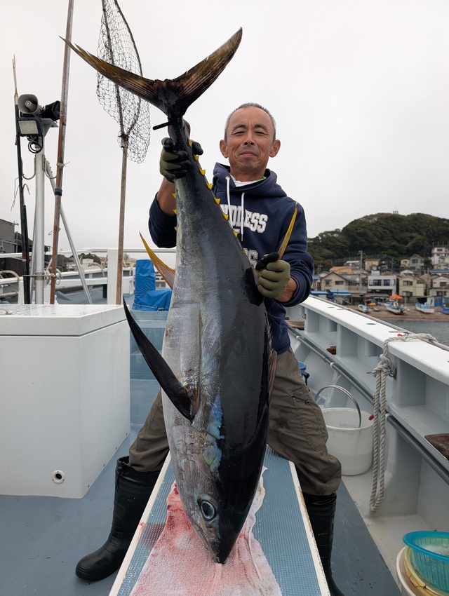 キハダマグロ(キハダ)