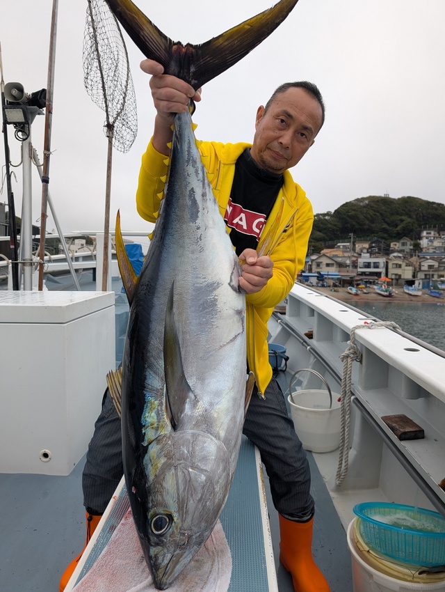 キハダマグロ(キハダ)