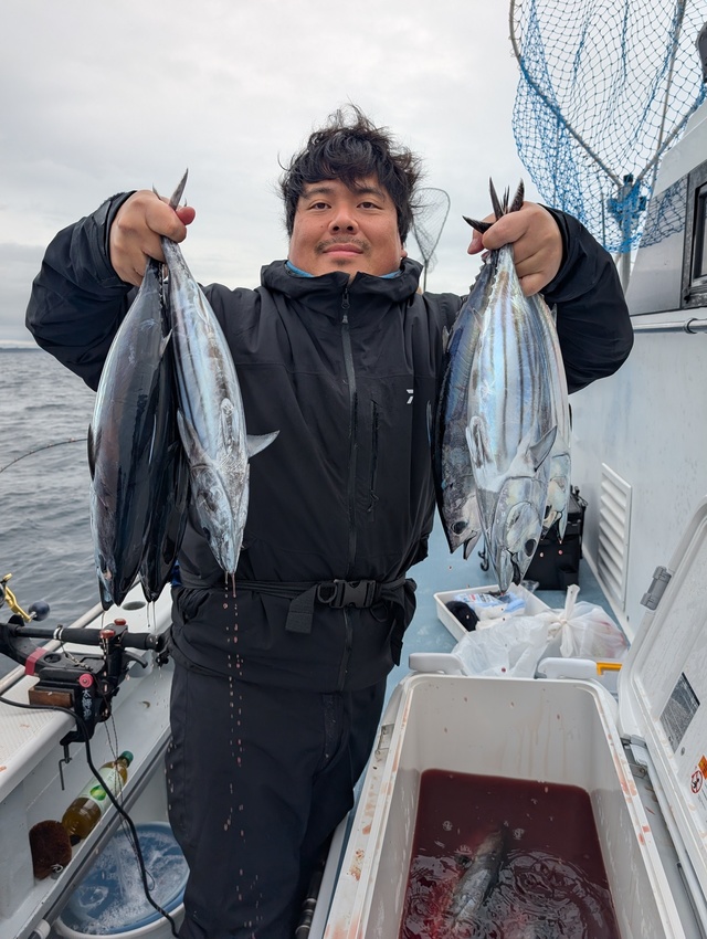 ホンガツオ(カツオ)