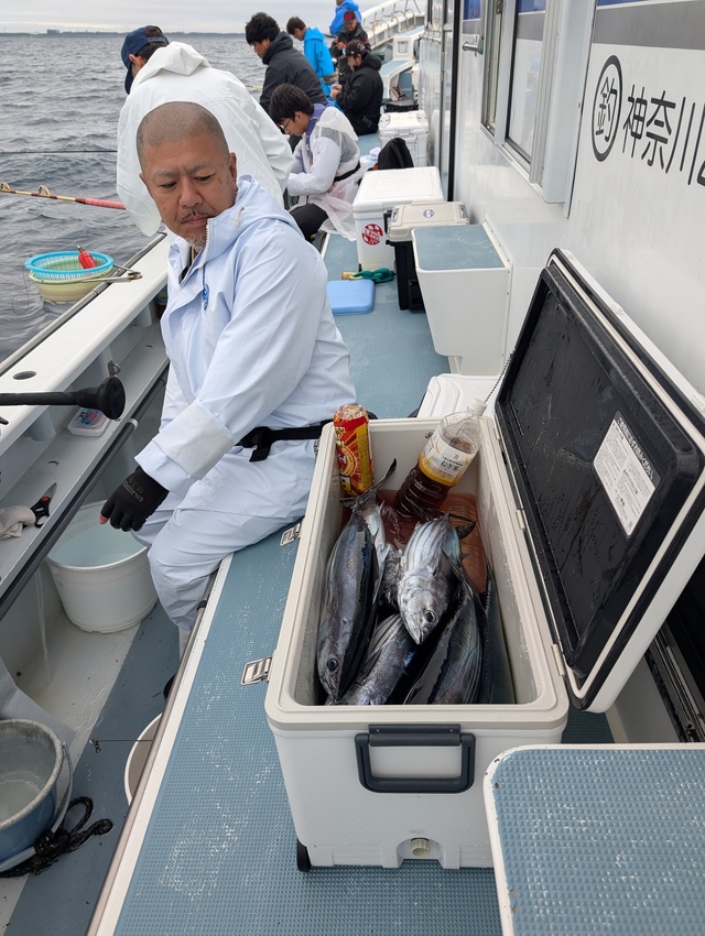 ホンガツオ(カツオ)