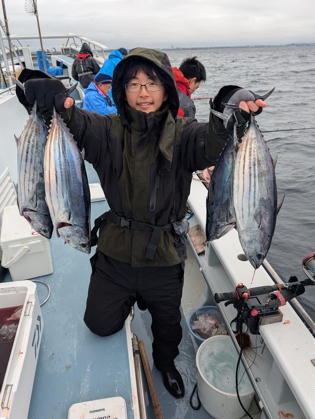 ホンガツオ(カツオ)