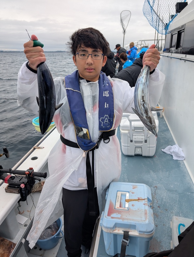 ホンガツオ(カツオ)