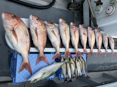 マダイ・ハマチ(ブリ)・イサキ