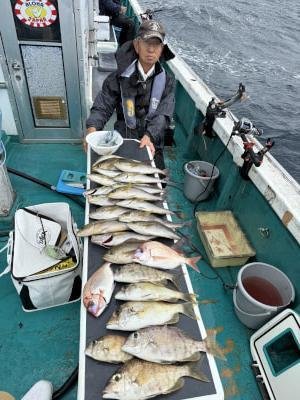 マダイ・メイチダイ・イサキ