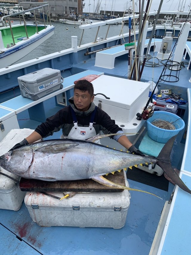 キハダマグロ(キハダ)