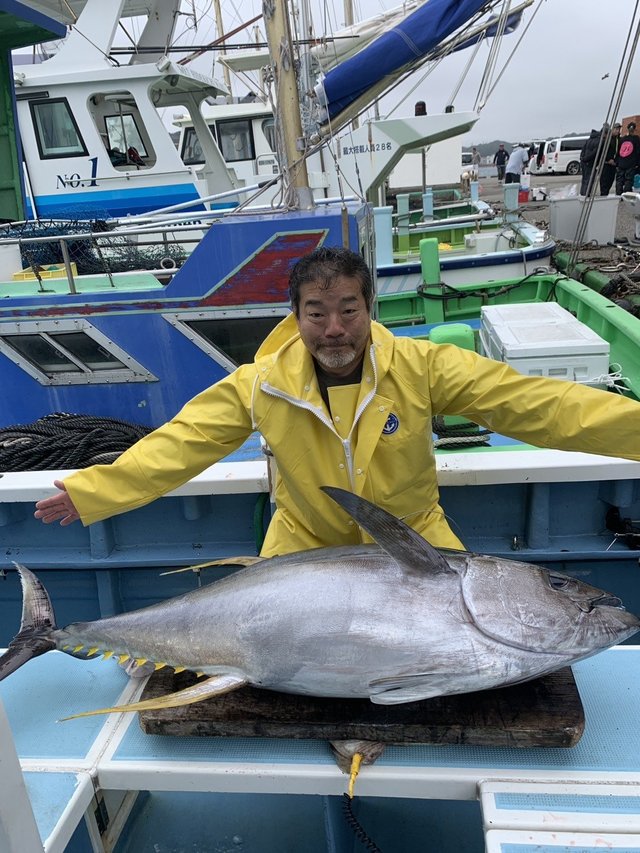 キハダマグロ(キハダ)