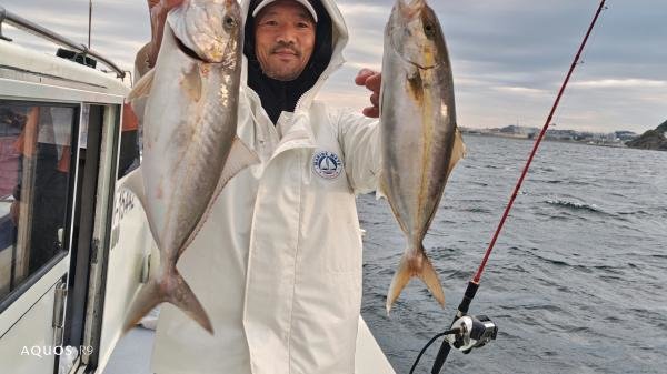 イナダ(ブリ)・カンパチ