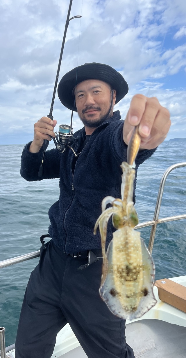 イカ(アオリイカ)