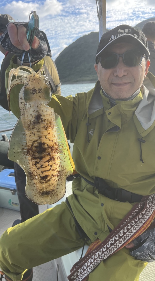 イカ(アオリイカ)