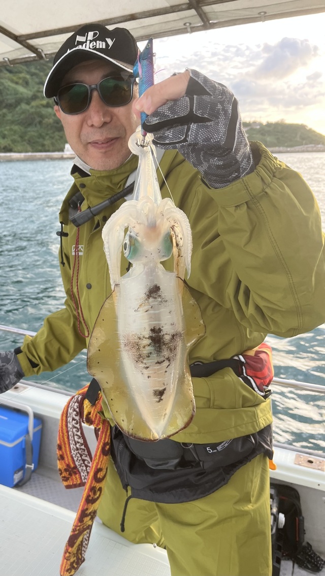 イカ(アオリイカ)