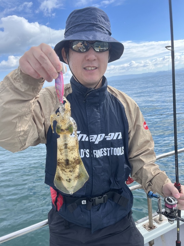 イカ(アオリイカ)