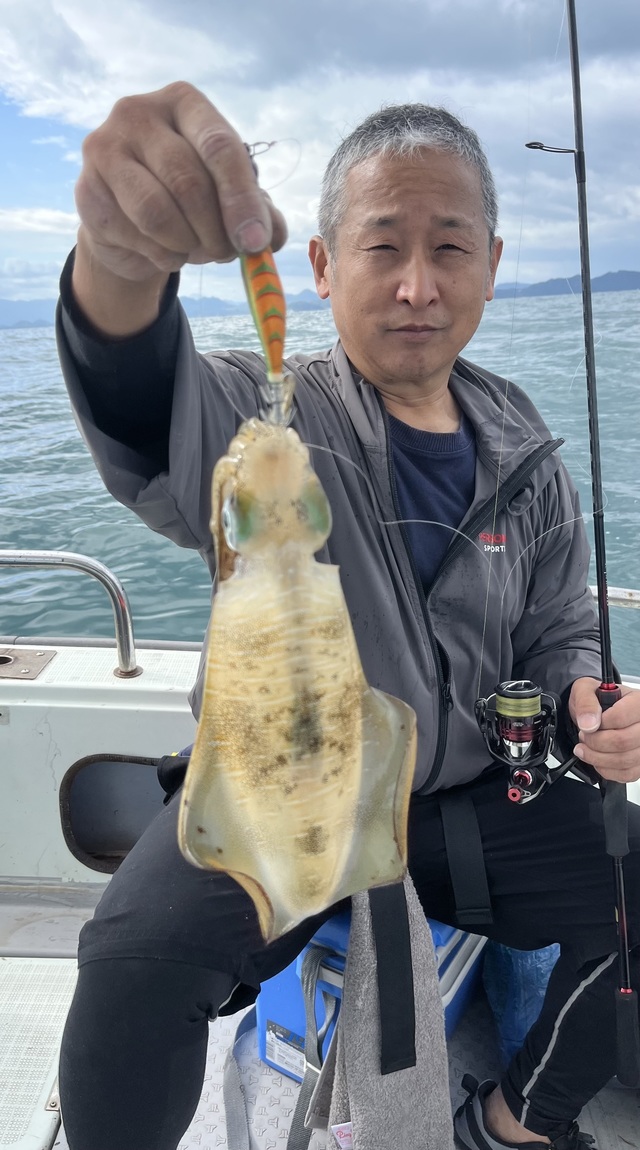 イカ(アオリイカ)