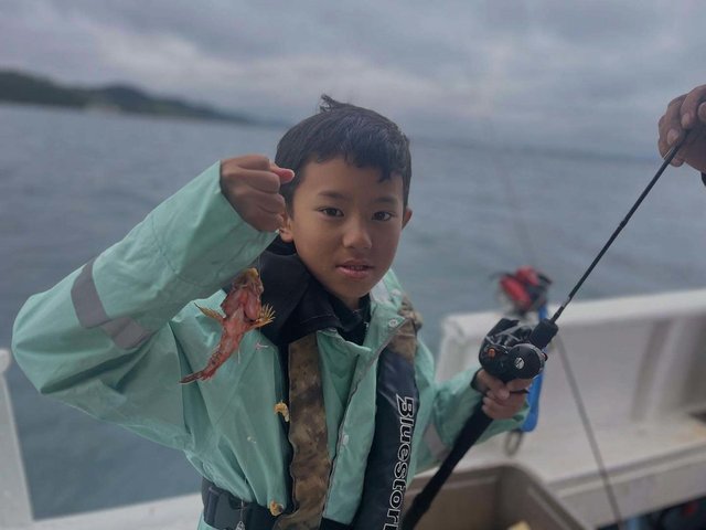 ガシラ(カサゴ)