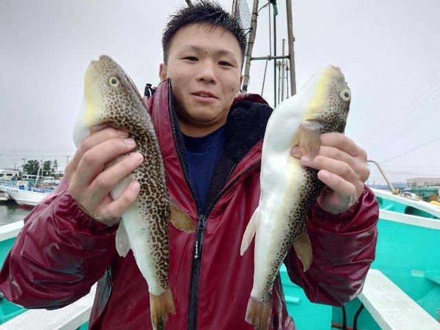 ショウサイフグ