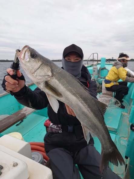 シーバス(スズキ)