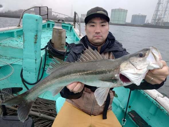 シーバス(スズキ)