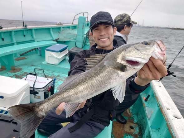 シーバス(スズキ)