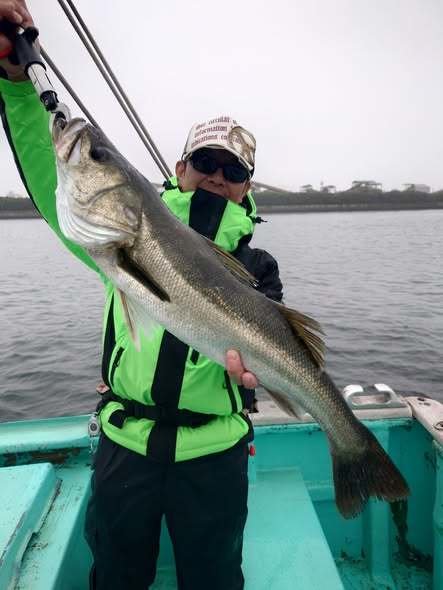 シーバス(スズキ)