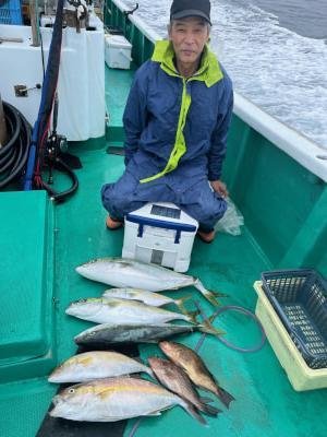 ブリ・ツバス(ブリ)・ハマチ(ブリ)