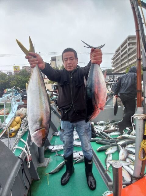 カンパチ・コシナガ