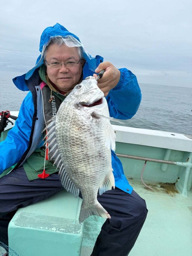 チヌ(クロダイ)