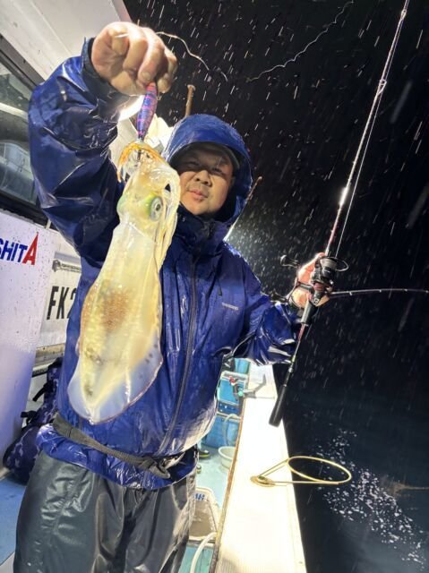 アオリ(アオリイカ)