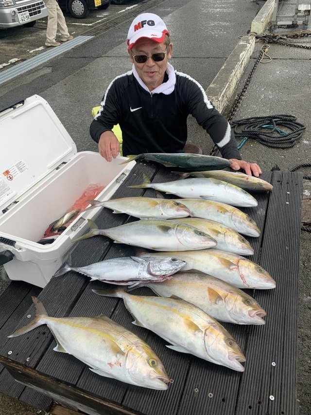 イナダ(ブリ)・カンパチ