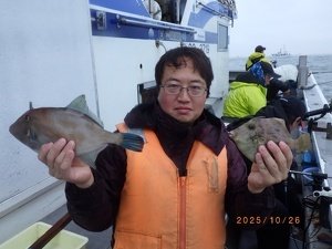 ウマヅラハギ
