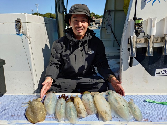 アオリイカ・モンゴウイカ(カミナリイカ)