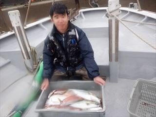 マダイ・イナダ(ブリ)