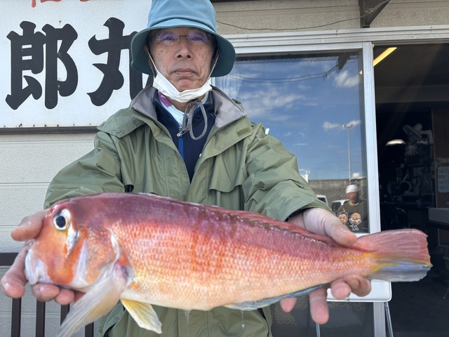 アマダイ(アカアマダイ)