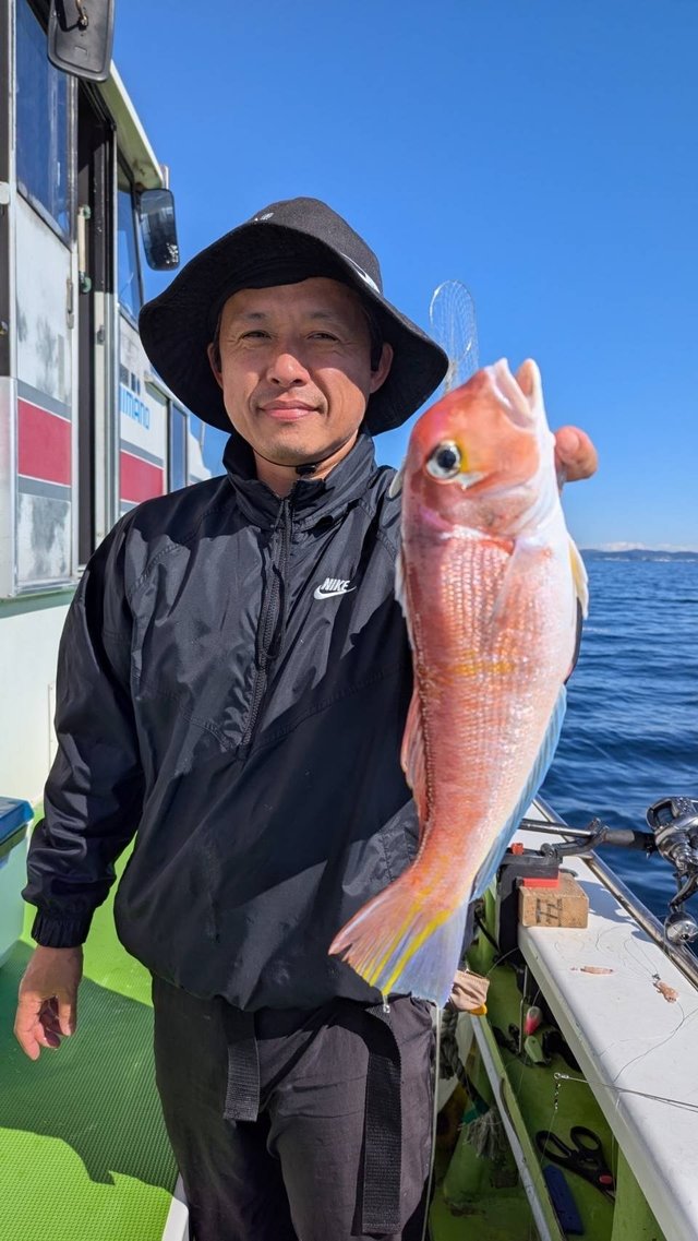 アマダイ(アカアマダイ)