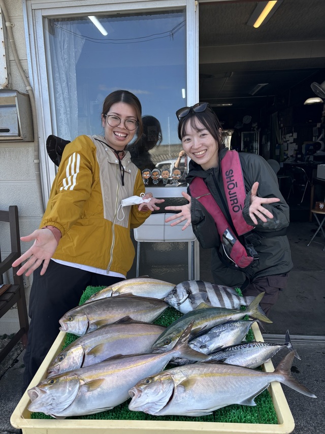 イシダイ・イナダ(ブリ)・カンパチ