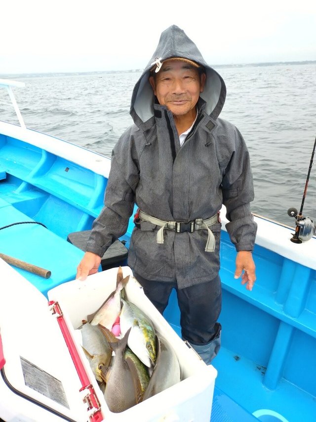 イナダ(ブリ)・カンパチ・イサキ