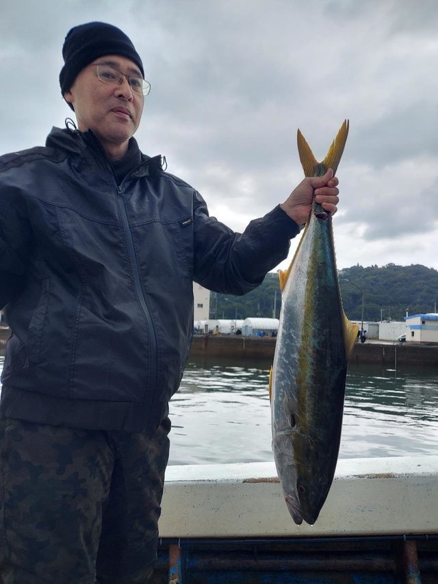 ヒラス(ヒラマサ)