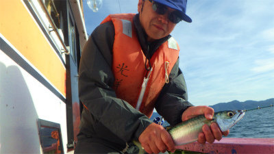 サバ(ゴマサバ)