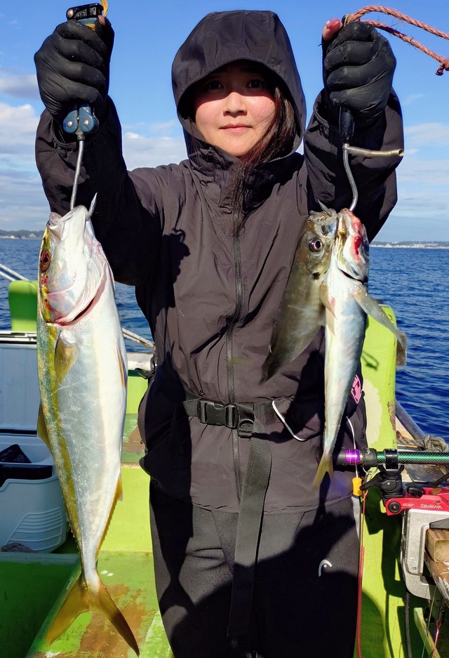 アジ(マアジ)・イナダ(ブリ)