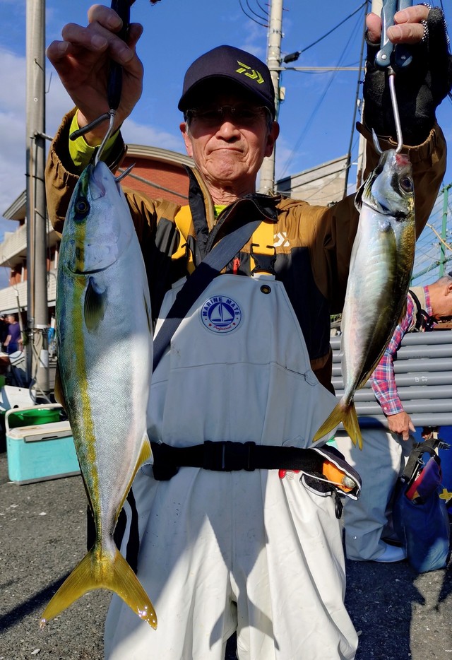 アジ(マアジ)・イナダ(ブリ)