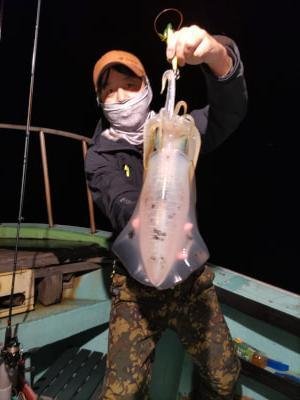 アオリ(アオリイカ)